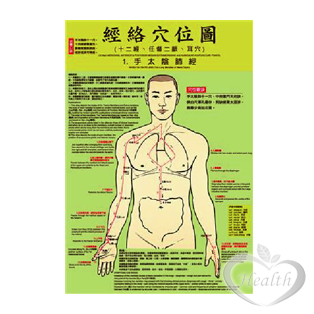 繁體中文/英文/簡體中文 人體經絡穴位圖 7張/套 